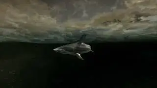 RDR2 creatures fish@sharkhammerhead@move run start r 90