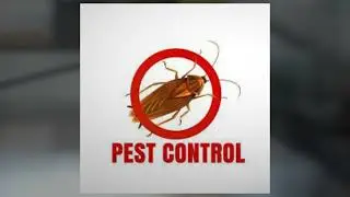 Merida Pest Control | London pest control services