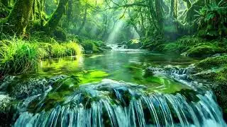 Relaxing Nature Sounds, Gentle Stream Flow and Birds Singing, Calming Ambience for Deep Sleep
