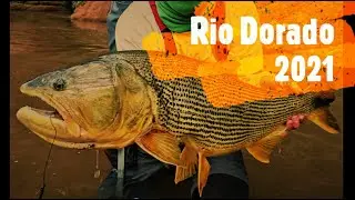 Rio Dorado Fly Pesca 2021
