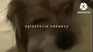 Piesek Meteo - Oprawa Graficzna (2022-dziś) dla @rudusextra