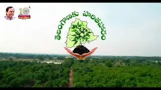 #Harithaharam Facts about Harithaharam | Harithaharam Scheme Telangana || Avh Times