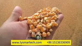 High-Performance Soybean and Corn Extruder in Action | Efficient Feed Production Solutions