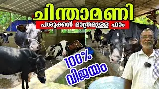 പശു ഫാം വിജയിക്കാൻ ഇതാണ് എളുപ്പവഴി | Success Tips for Cow farmers |  high breed Cows