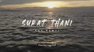 คิดถึง ชุมชน ยลวิถีใต้ - ชุมชนท่องเที่ยวมะพร้าวเชิงสร้างสรรค์เกาะสมุย