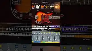 Free plugin: IK Multimedia MODO BASS 2 CS😍 #bass