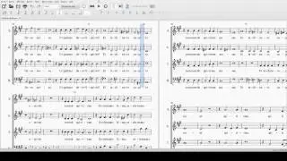 HAYDN - Tenebrae factae sunt -  BASSE voix pr&eacute;sentes S A T