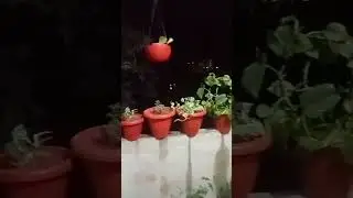 love #mini Garden#fun