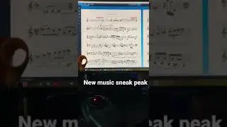Bass clarinet concerto sneak peak