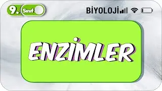 Enzimler  | Öğrenme Garantili Özet Anlatım  #2023
