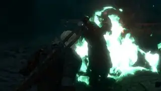 The Witcher 3 - Use the Axii Sign to Calm the Botchling (Family Matters)