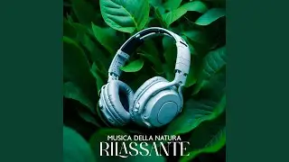 Ancora In Silenzio