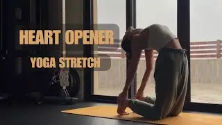 Yoga stretch 1 | Heart Opener: اليوم ١٤ من تحدي الخريف
