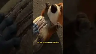 Qu&eacute; har&iacute;a tu perro en el Apocalipsis Zombie? #shorts