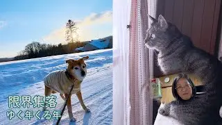 道東の暮らし｜古民家の台所しごと主婦の晩酌・牛乳だけで作るポテトグラタン