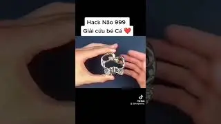 Hot TikTok: Crab (Marine Series) Hanayama Puzzle  Solution. Puzzle Challenge. Puzzle Party