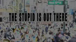 Stupids Talking Stupid - 803 - LIVE!