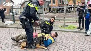 Politiehond Bumper tijdens veiligheidsdag Spijkenisse centrum