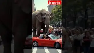 Elephant Destroys Sports Car| Brock Ride Gone Wrong #ElephantCrash #InfluencerFail#AnimatedShort