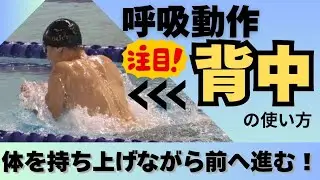 【平泳ぎ】 呼吸動作時の背中や身体の使い方。有料級のマル秘情報がそこにはあった…。