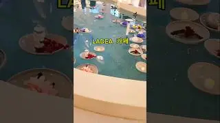 라데아(LADEA)카페