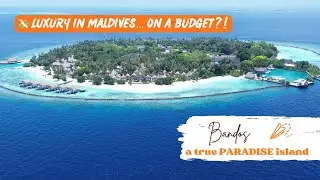 Maldives on a Budget? Bandos Island Resort Review | Affordable Luxury in Paradise! | Day 3