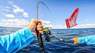 Fishing a Ship Wreck LOADED with BIG Fish!!