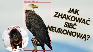 Manipuluję Sieciami Neuronowymi!
