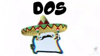 mexican cat meme