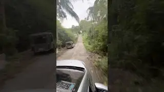 Driving in the province #driving #province #nature #trees #travel #philippines #shortfeeds #ytshort