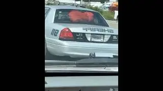 Imagine seeing this on the highway 😂 #funny #shorts