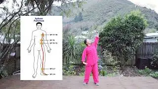 Qi Gong- Separate Heaven and Earth- Chi Gong for Beginners- Ba Duan Jin-8 silken movement