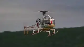 Giant Scale RC Helicopter Vario Lama