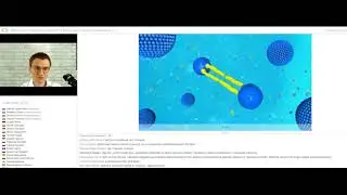 Липосомы. Для чего они нужны?
