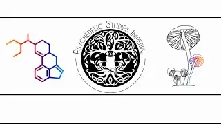 2: History of Psychedelic Drugs Policy with Professor David Nutt