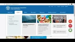 FAO- The Food and Agriculture Organization