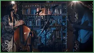 Cicada Rhythm | 