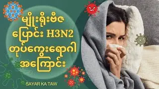 H3N2: Should You Worry?(How to Stay Safe)🤒 | မျိုးရိုးဗီဇပြောင်း H3N2 တုပ်ကွေးရောဂါအကြောင်း