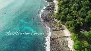 Dr  Paul Grove Commercial 2