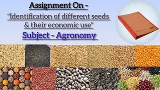 Identification of different seeds and their economic use || Agronomy (Exercise:- 1) || B.Sc Ag (1st)