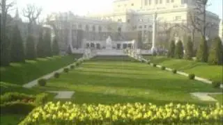 Vibrationen op.204 - Johann Strauss II
