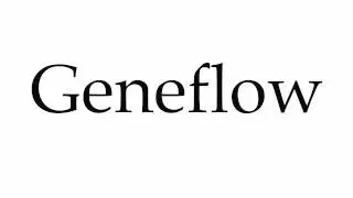 How to Pronounce Geneflow