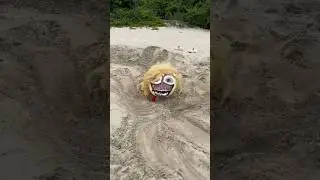 MISS DELIGHT STUCK IN SAND 😂