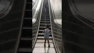 That Escalated (not too) Quickly