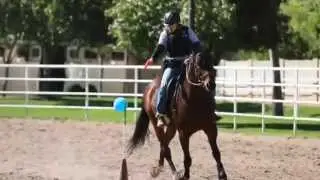 Tempe Police Mounted Unit Training- Spring 2015