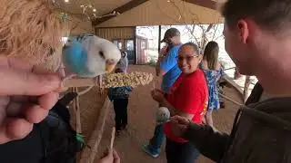 Interactive Bird display at Wild Life Park in Texas