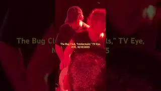 The Bug Club, &ldquo;Intelectuals,&rdquo; TV Eye, NYC, 12/15/25 @TheBugClubBand @subpop #thebugclub #livemusic