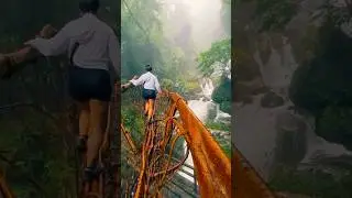 &ldquo;Discover Umkar Living Root Bridge: Meghalaya&rsquo;s Hidden Gem Perfect for All Ages!&rdquo;