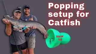 How to do Popping for Catfish (Barbel_Baber) the Popping setup