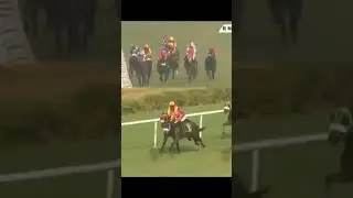 Chelsea win Mumbai race #jockey #Nirmal jodha 3/6/1..
